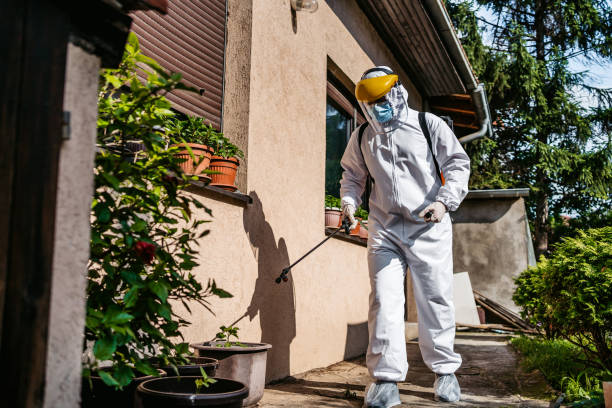 Pest Control for Restaurants in Travis Ranch, TX