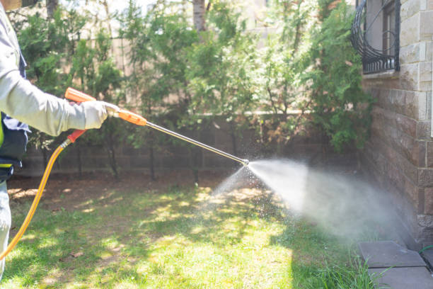 Best Spider Control Near Me  in Travis Ranch, TX