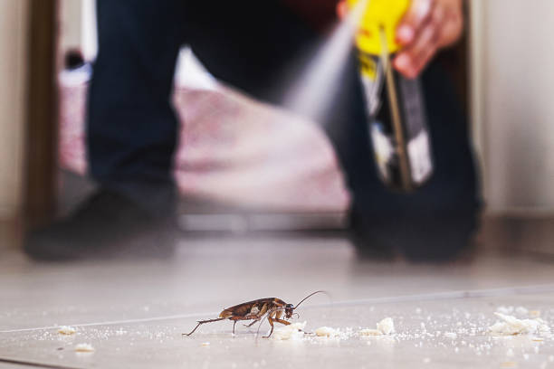 Trusted Travis Ranch, TX Pest Control Experts