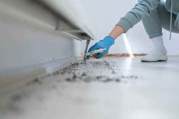 Best Flea Control Services  in Travis Ranch, TX